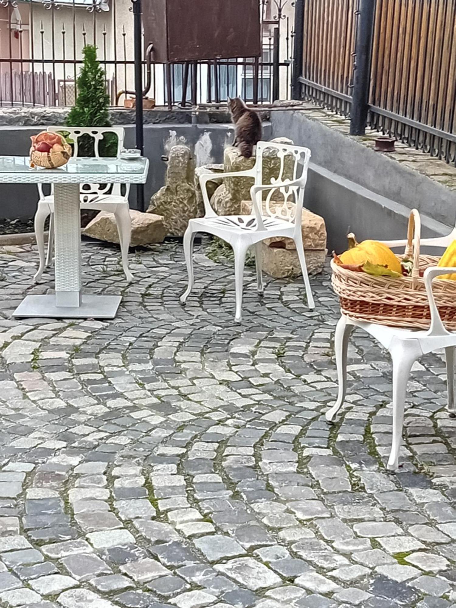 Casa Continentelor Hotel Câmpulung Eksteriør billede